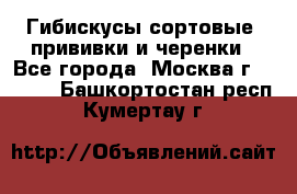 Гибискусы сортовые, прививки и черенки - Все города, Москва г.  »    . Башкортостан респ.,Кумертау г.